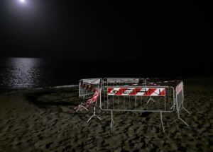 ostia tartaruga