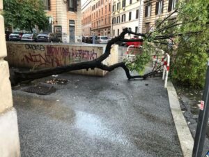 maltempo roma albero caduto esquilino