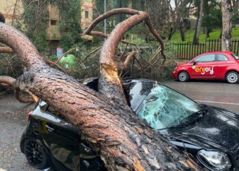 Il maltempo fa danni a Mostacciano: auto in sosta distrutta da un grosso albero