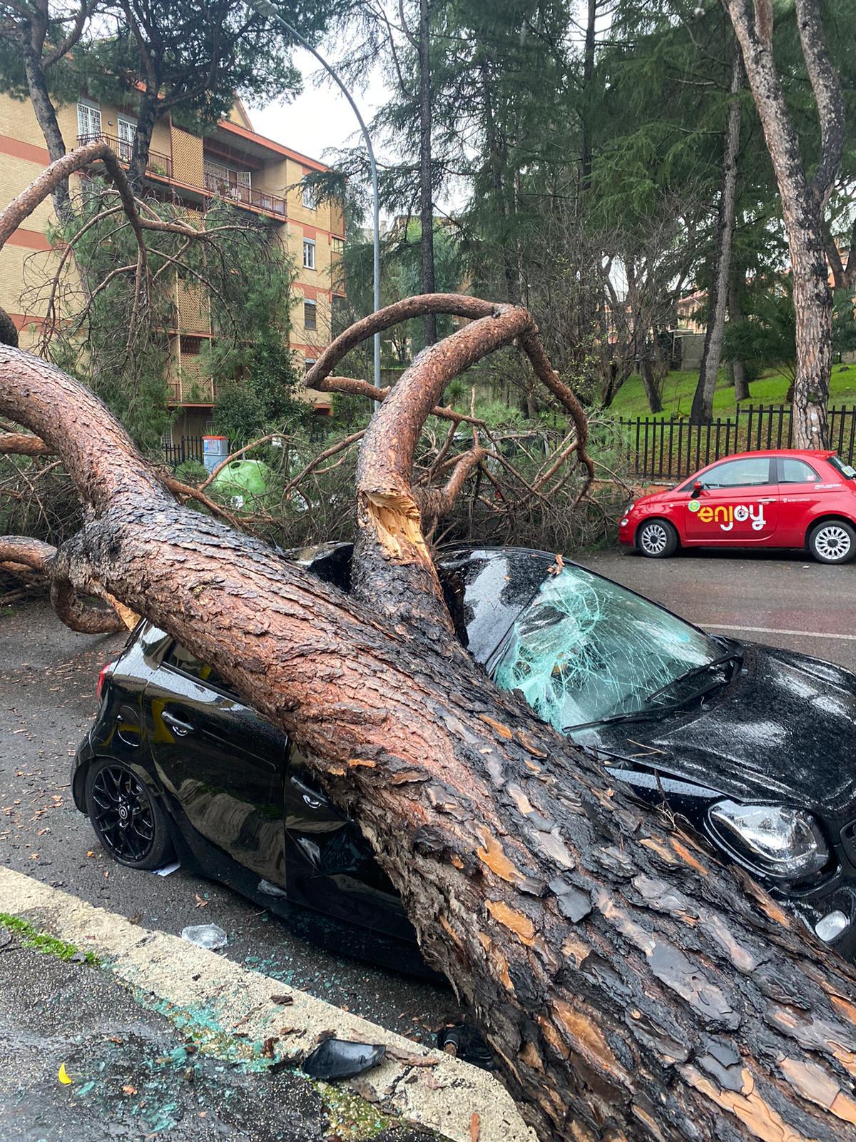 Il maltempo fa danni a Mostacciano: auto in sosta distrutta da un grosso albero