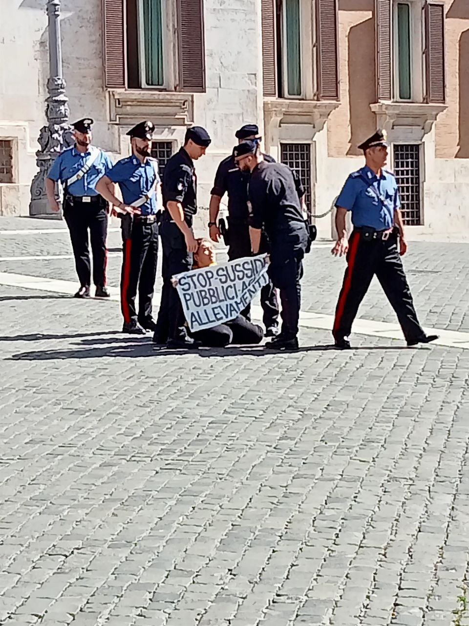 Attivista riesce a scavalcare le transenne davanti a Montecitorio