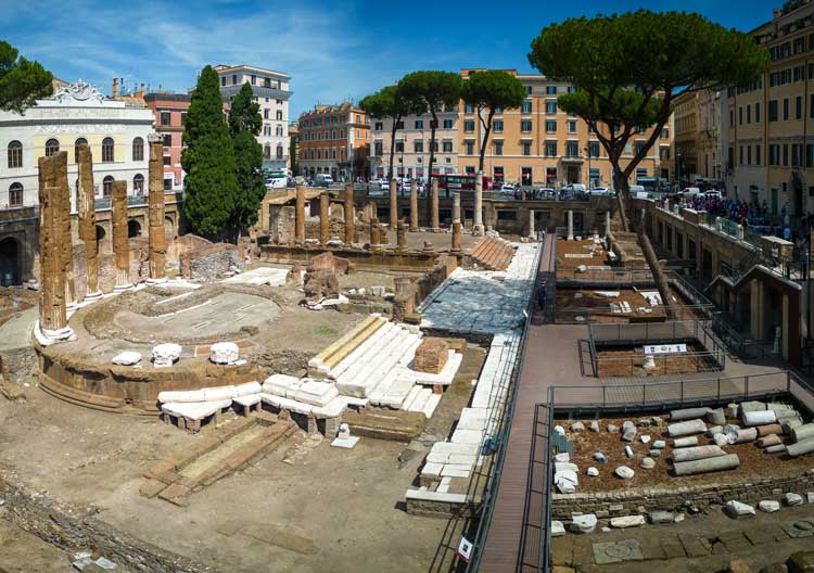 Domenica 6 agosto ingresso gratuito nei musei civici e siti archeologici di Roma
