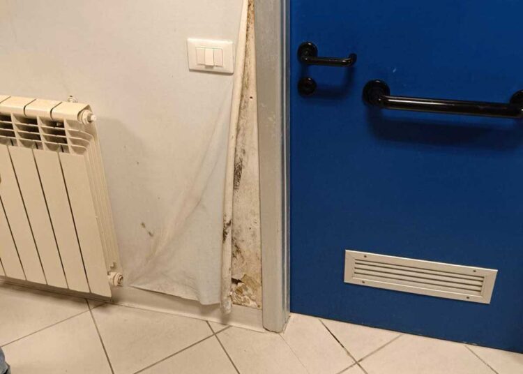 muro ammuffito in una residenza universitaria a Roma