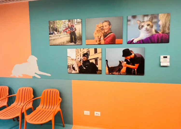 L'ambulatorio veterinario sociale gestito dalla LAV inaugurato a Roma