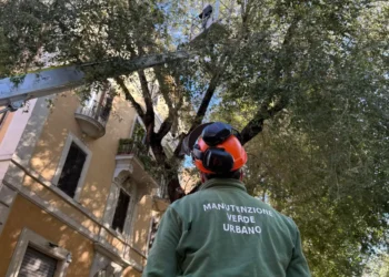 Lavori di riqualificazione del verde a San Giovanni: entro ottobre saranno messi a dimora 263 nuovi alberi