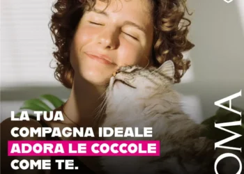 Adozioni gatti Roma Capitale campagna dicembre 2025 gattili comunali