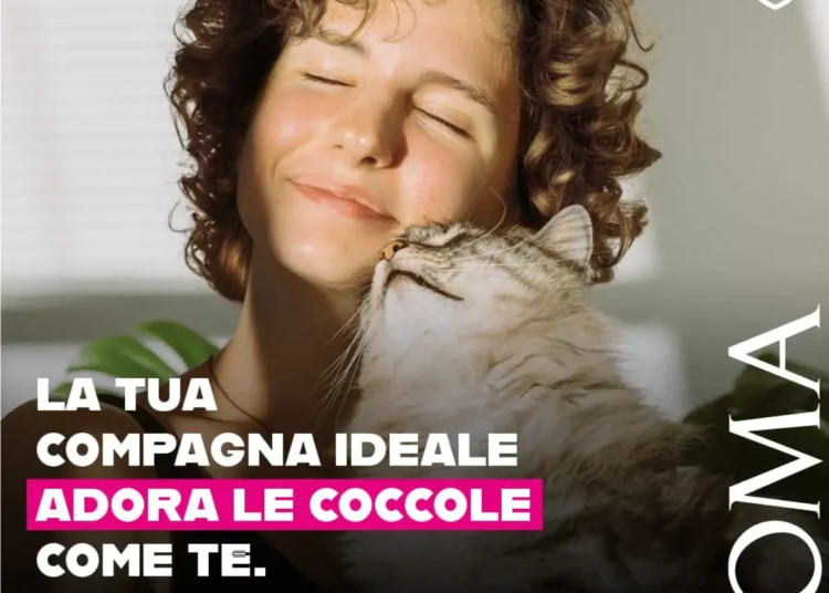 Adozioni gatti Roma Capitale campagna dicembre 2025 gattili comunali