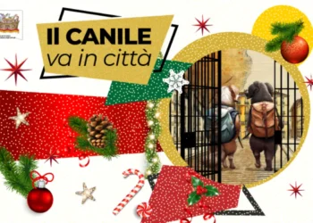 Adozioni cani canili Roma EUR Villaggio Natale Il canile va in città