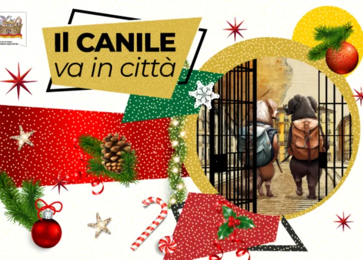 Adozioni cani canili Roma EUR Villaggio Natale Il canile va in città