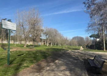 Due nuovi boschi urbani Roma Forest For Rome via Pieralisi Parco Talenti Municipio XIV III