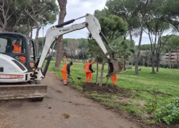 Parco Petroselli Talenti piantumazione pini riqualificazione verde Municipio IV Roma