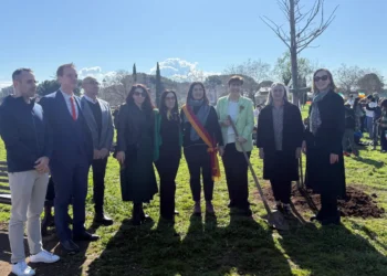 San Patrizio Villa De Sanctis alberi Ambasciata Irlanda Roma frassini tiglio area giochi